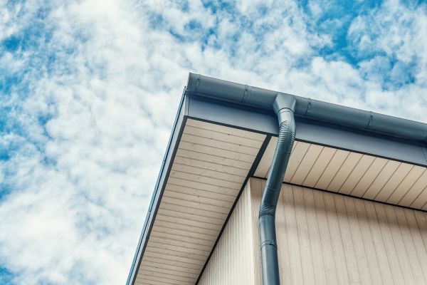 Gutter Fascia Repair in Warren