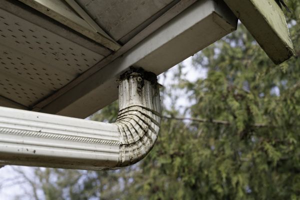 Cost of Roof Drain Replacement in Warren